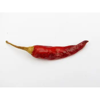 Common Dry Red Chilli